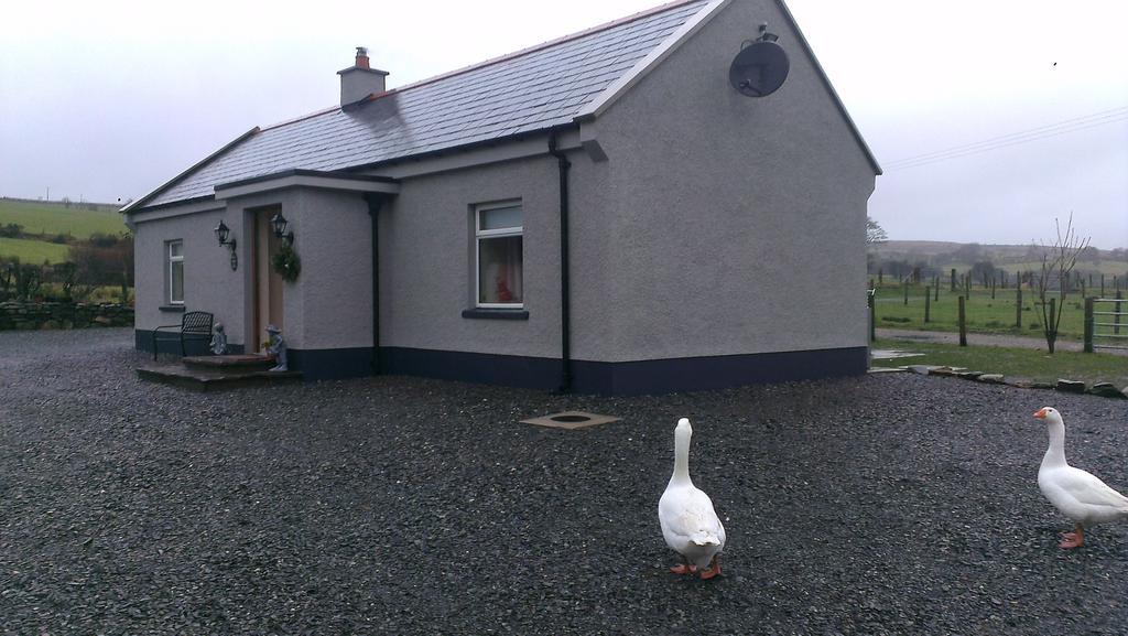 Pat Larry'S Cottage 그린캐슬 객실 사진